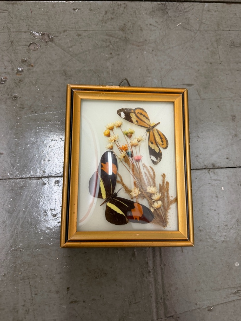 Framed Butterfly Shadow Box - Gold Frame with Dried Flowers